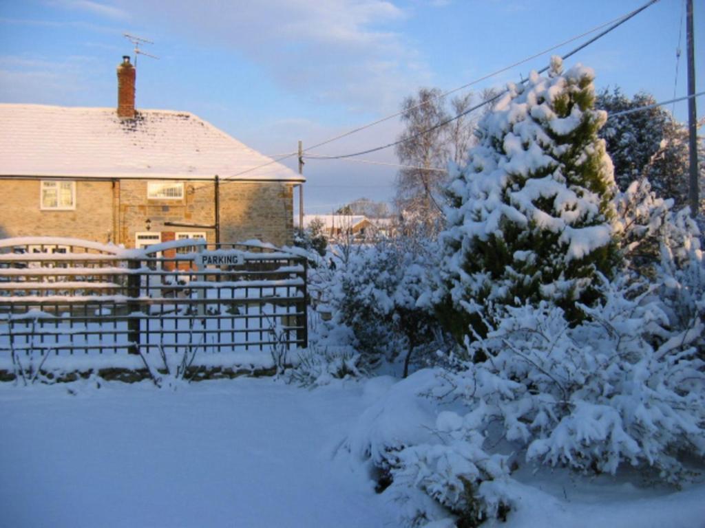 Quiet Woman House Bed & Breakfast Halstock Bagian luar foto