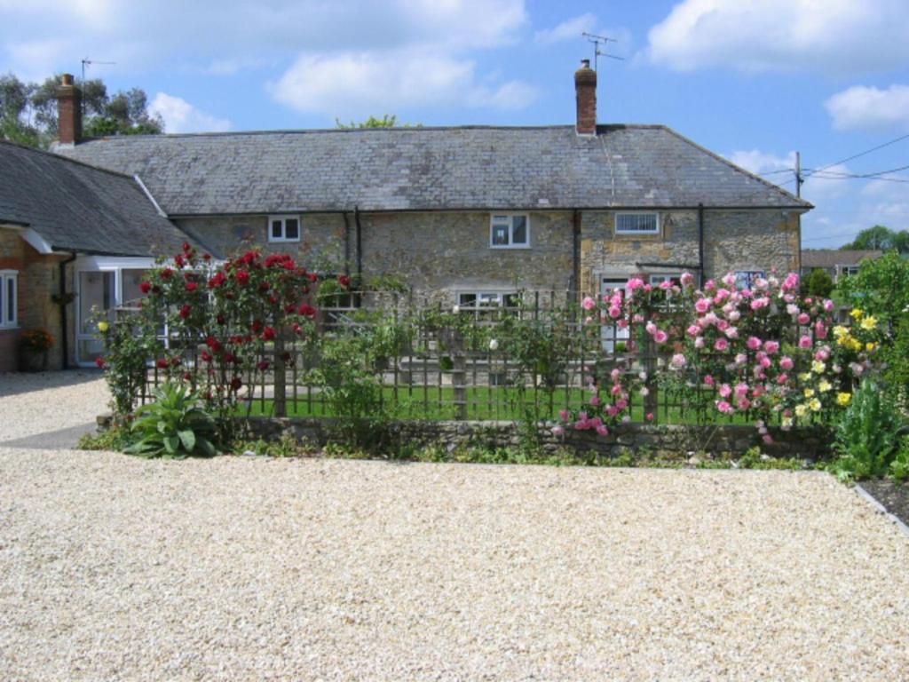 Quiet Woman House Bed & Breakfast Halstock Bagian luar foto